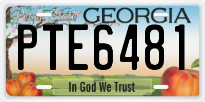 GA license plate PTE6481