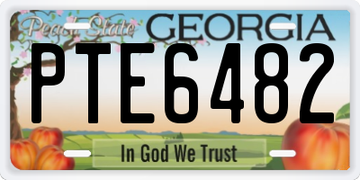 GA license plate PTE6482