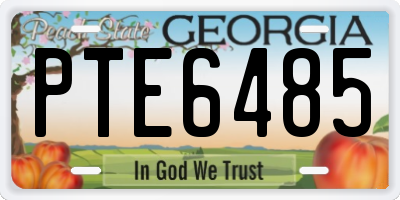 GA license plate PTE6485