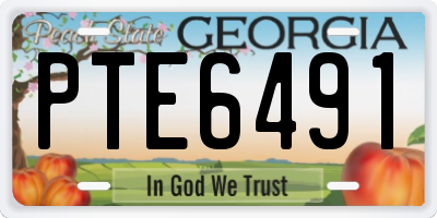 GA license plate PTE6491