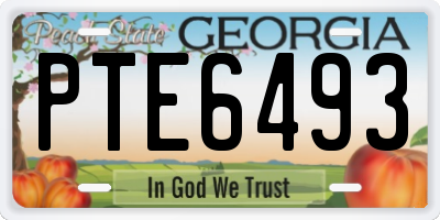 GA license plate PTE6493