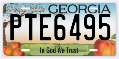 GA license plate PTE6495