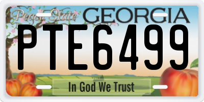 GA license plate PTE6499