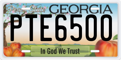 GA license plate PTE6500