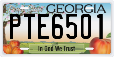 GA license plate PTE6501