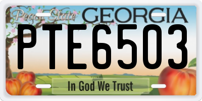 GA license plate PTE6503