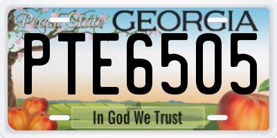 GA license plate PTE6505