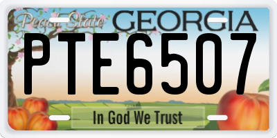 GA license plate PTE6507