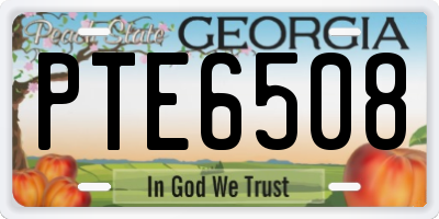 GA license plate PTE6508