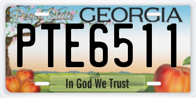 GA license plate PTE6511