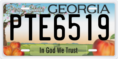 GA license plate PTE6519
