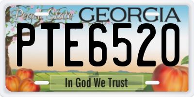 GA license plate PTE6520