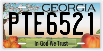 GA license plate PTE6521