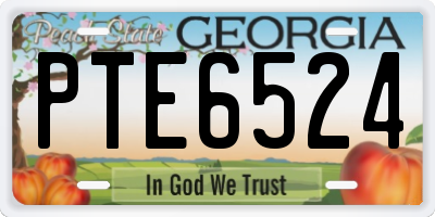 GA license plate PTE6524