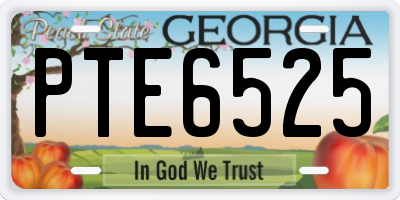 GA license plate PTE6525