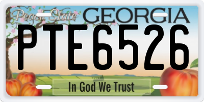 GA license plate PTE6526