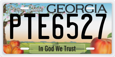 GA license plate PTE6527