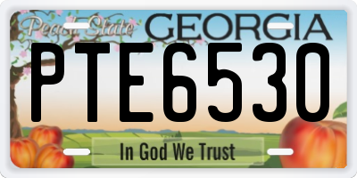 GA license plate PTE6530