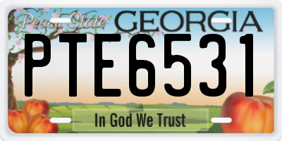 GA license plate PTE6531