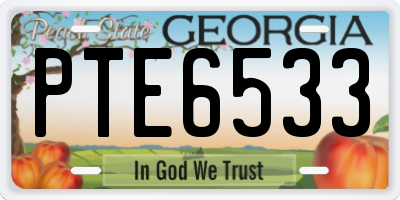 GA license plate PTE6533