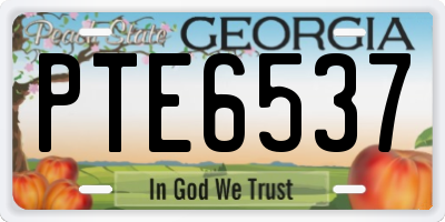 GA license plate PTE6537