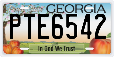 GA license plate PTE6542