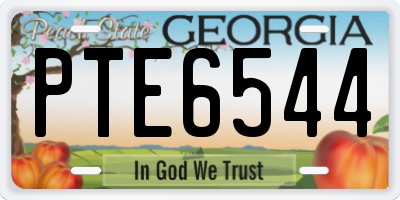 GA license plate PTE6544