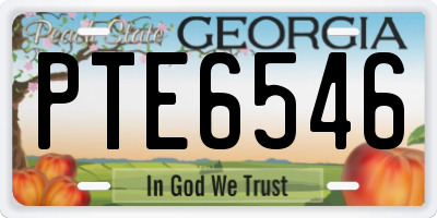 GA license plate PTE6546