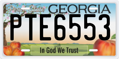 GA license plate PTE6553