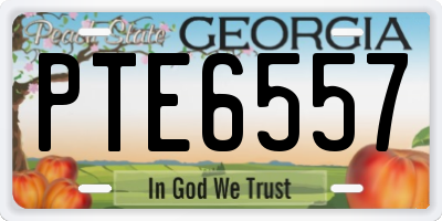 GA license plate PTE6557