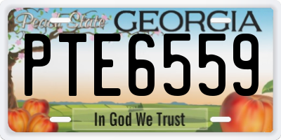GA license plate PTE6559