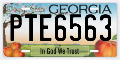 GA license plate PTE6563