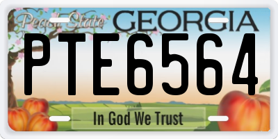 GA license plate PTE6564