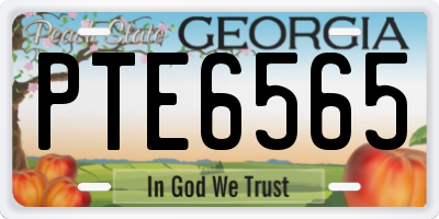 GA license plate PTE6565