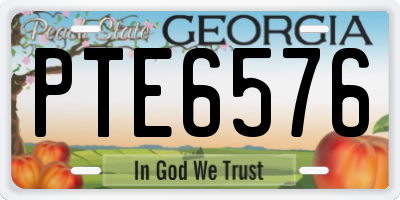 GA license plate PTE6576