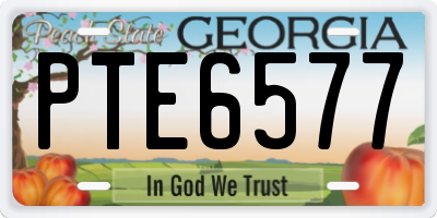 GA license plate PTE6577