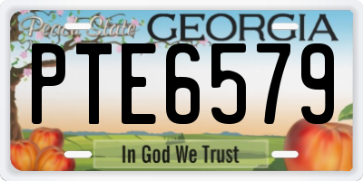 GA license plate PTE6579