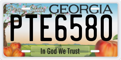 GA license plate PTE6580