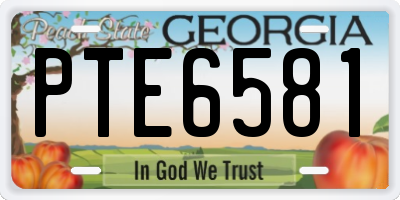 GA license plate PTE6581