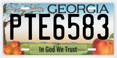 GA license plate PTE6583