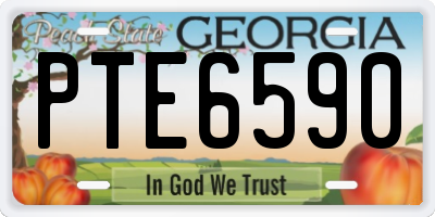 GA license plate PTE6590