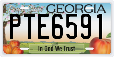 GA license plate PTE6591