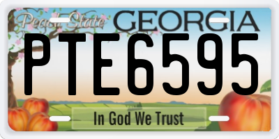 GA license plate PTE6595