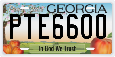 GA license plate PTE6600
