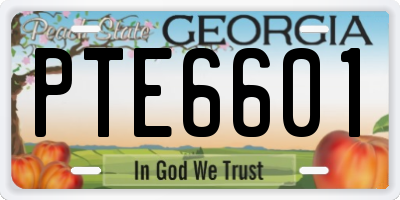 GA license plate PTE6601