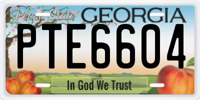 GA license plate PTE6604