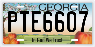 GA license plate PTE6607