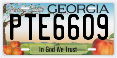 GA license plate PTE6609
