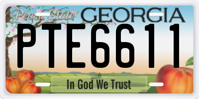 GA license plate PTE6611