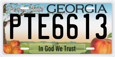 GA license plate PTE6613
